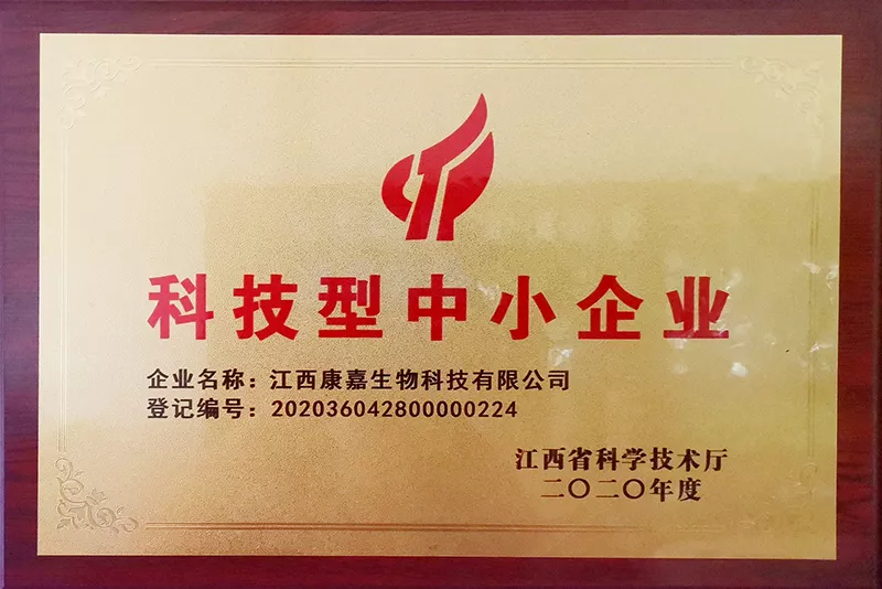 科技型中企业-2020.jpg