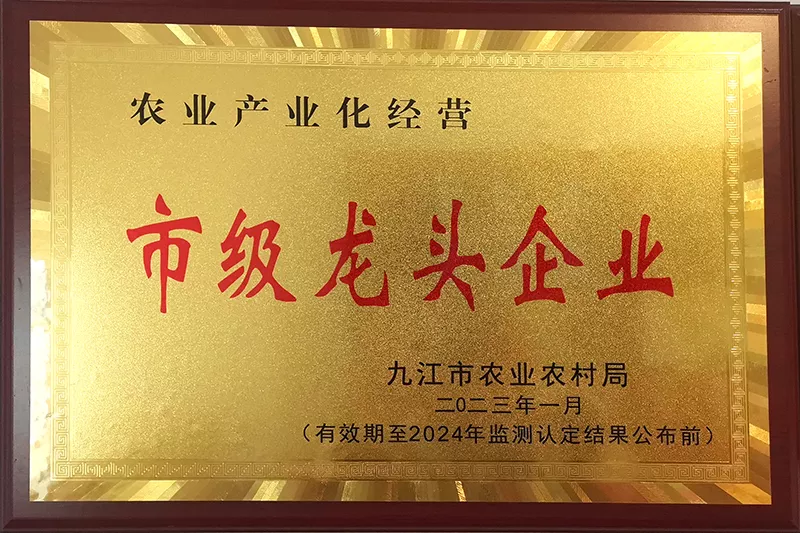 市级龙头企业-2023-2.jpg