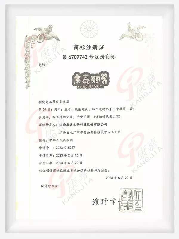 康嘉羽翼-马德里中文版.jpg